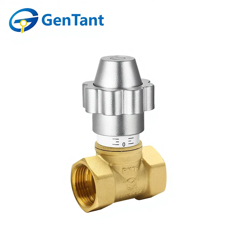 Magnetisk låsbar strømningsreguleringsklodeventil